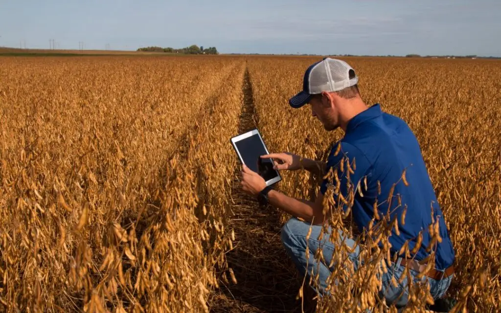 How IoT is helping agriculture in Australia / Azentro / Voice Vision Data