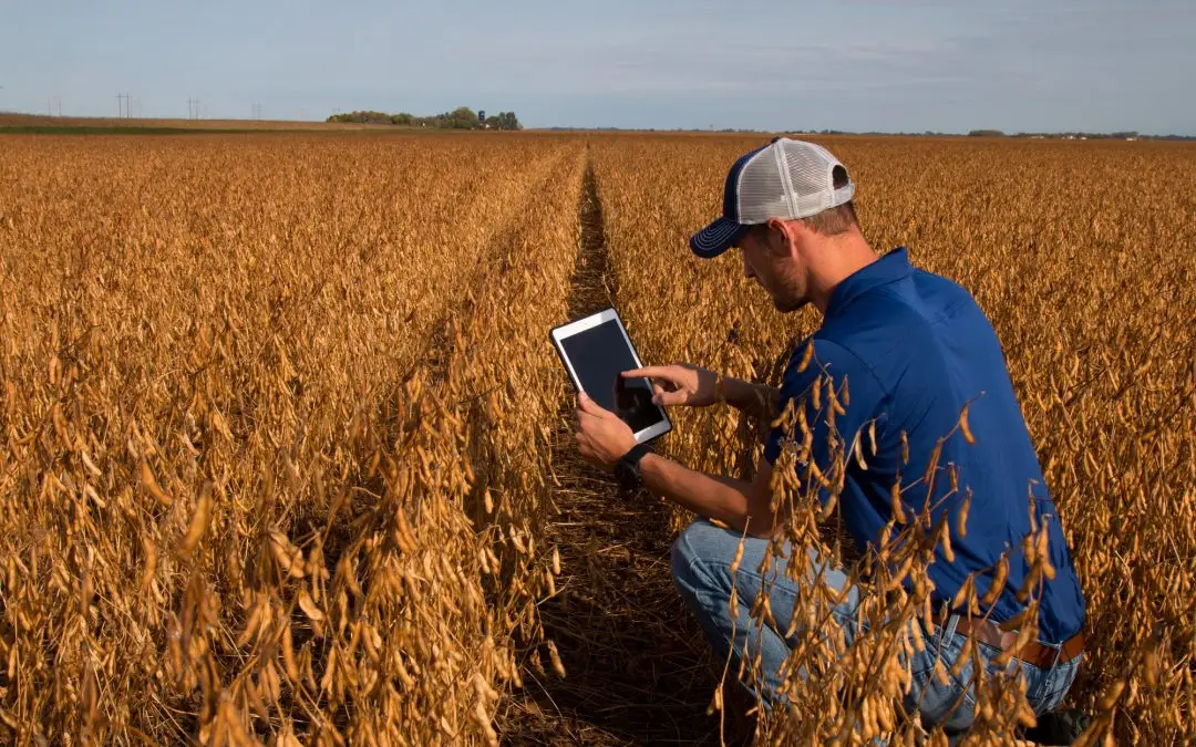 How IoT is helping agriculture in Australia / Azentro / Voice Vision Data